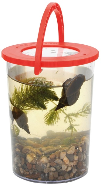 Nádoba na rostliny a živočichy s lupou