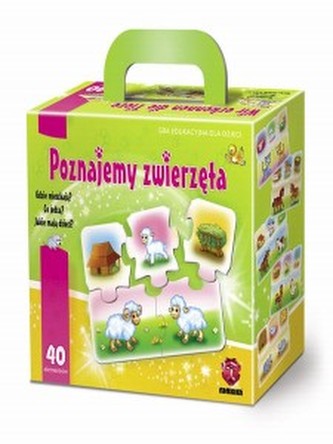 Gra Poznajemy zwierzęta