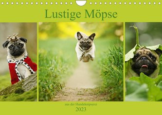 Lustige Möpse aus der Hundeknipserei (Wandkalender 2023 DIN A4 quer)