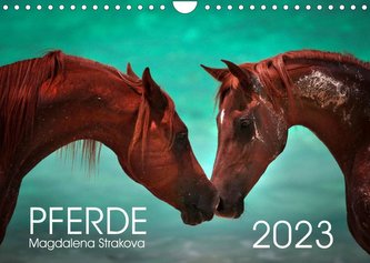 Pferde - Magdalena Strakova (Wandkalender 2023 DIN A4 quer)