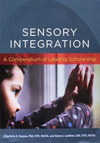 Sensory Integration Sensory Integration