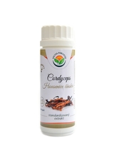 Salvia paradise - Cordyceps housenice standardizovaný extrakt 100 kapslí Cordyceps sinensis
