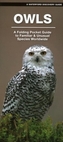 Owls