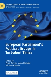 European Parliament's Political Groups in Turbulent Times
