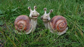 Šnek design dřevo malý