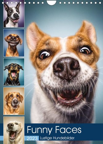 Funny Faces - Lustige Hundebilder (Wandkalender 2023 DIN A4 hoch)