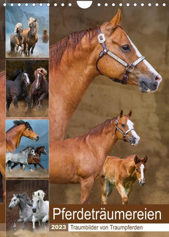 Pferdeträumereien - Traumbilder von Traumpferden (Wandkalender 2023 DIN A4 hoch)