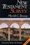 New Testament survey