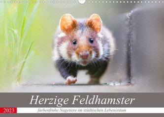 Herzige Feldhamster - farbenfrohe Nagetiere im städtischen LebensraumAT-Version  (Wandkalender 2023 DIN A3 quer)