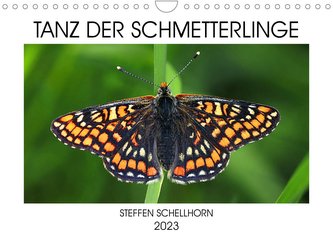 TANZ DER SCHMETTERLINGE (Wandkalender 2023 DIN A4 quer)