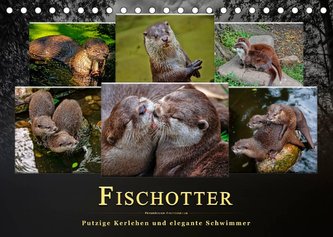 Fischotter - putzige Kerlchen und elegante Schwimmer (Tischkalender 2023 DIN A5 quer)