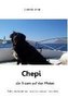 Chepi