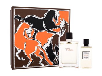 Hermes Terre d´Hermes toaletní voda 100 ml + sprchový gel 80 ml