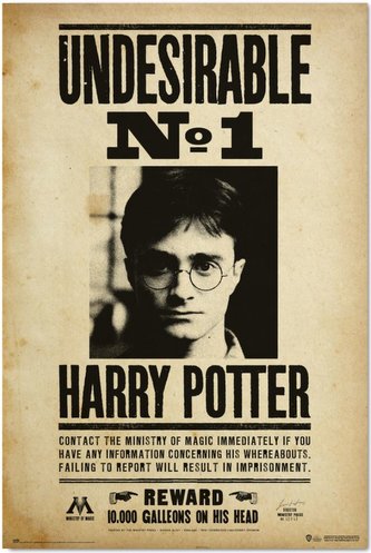 Plakát Harry Potter: Nežádoucí No.1 (61 x 91,5 cm) 150 g
