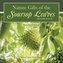Nature  Gifts of the Soursop leaves (graviola leaves)