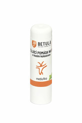Betula pendula Pečující pomáda na rty s kozím kolostrem - meduňka 4,2 g