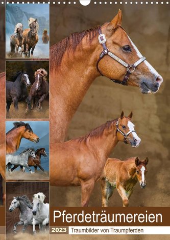 Pferdeträumereien - Traumbilder von Traumpferden (Wandkalender 2023 DIN A3 hoch)