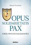 Opus solidarietatis Pax. Pokój owocem solidarności