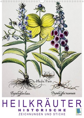 Heilkräuter: Historische Zeichnungen und Stiche (Wandkalender 2023 DIN A3 hoch)