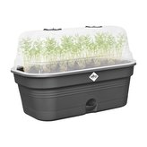 Minipařeniště Green Basics growpot tray all-in-1 39 cm - living black