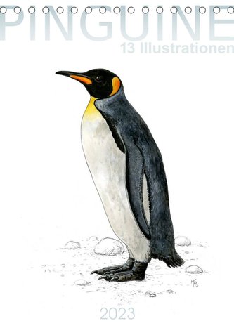 Pinguine - 13 Illustrationen (Tischkalender 2023 DIN A5 hoch)