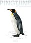 Pinguine - 13 Illustrationen (Tischkalender 2023 DIN A5 hoch)