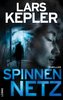 Spinnennetz