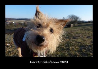 Der Hundekalender 2023 Fotokalender DIN A3