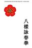 Schlüsselprinzipien des Acht Pattern Wing Chun