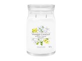 YANKEE CANDLE Midnight Jasmine svíčka 567g / 5 knotů (Signature velký)