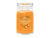YANKEE CANDLE Farm Fresh Peach svíčka 567g / 5 knotů (Signature velký)
