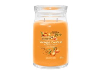 YANKEE CANDLE Farm Fresh Peach svíčka 567g / 5 knotů (Signature velký)