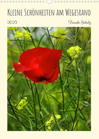 Kleine Schönheiten am Wegesrand (Wandkalender 2023 DIN A3 hoch)