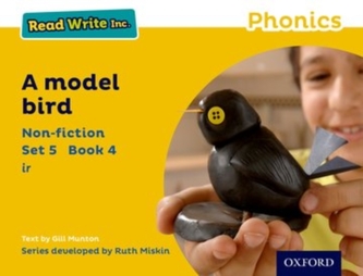 Read Write Inc. Phonics: Yellow Set 5 Non-fiction 4 A Model Bird
