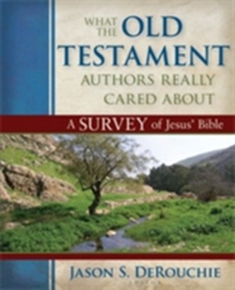 What the Old Testament Authors Really Cared Abou - A Survey of Jesus` Bible