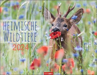 Heimische Wildtiere Kalender 2024