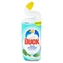Duck tekutý WC čistič s vůní máty 750 ml