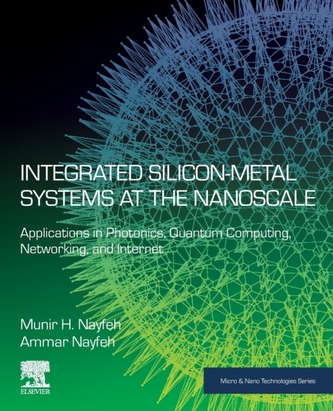 Integrated Silicon-Metal Systems at the Nanoscale