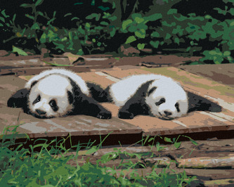 Malování podle čísel - PANDA LEŽÍCÍ NA DŘEVĚ - 40x50 cm, vypnuté plátno na rám