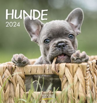 Hunde 2024