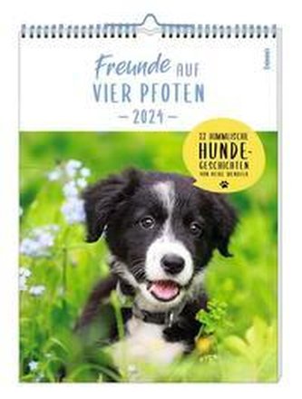 Freunde auf vier Pfoten 2024