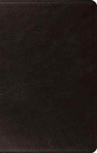 ESV Large Print Thinline Bible