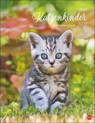 Katzenkinder Posterkalender 2024