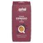 Káva "Passione Espresso", pražená, zrnková, vakuově balená, 1 000 g, SEGAFREDO 1594