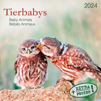 Tierbabys 2024