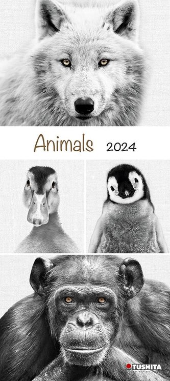 Animals 2024