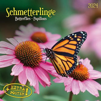 Schmetterlinge 2024
