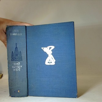 Když nastaly deště