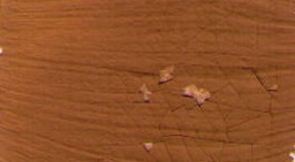 Restaurátorská barva Renesans 20ml – 08 Gold ochre