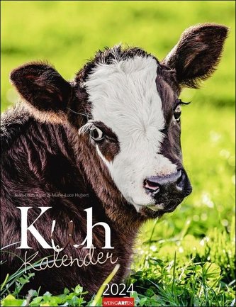 Kuh Kalender 2024